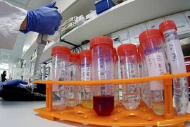 ĐSQ Việt Nam tại Trung Quốc: Chưa ghi nhận có lưu học sinh nhiễm virus corona