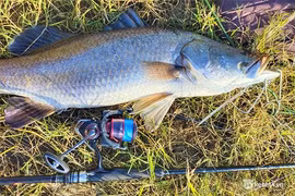 Cần thủ hào hứng săn “thủy quái” trên sông Trường Giang