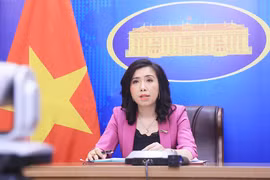 Việt Nam lên tiếng về chiến lược Ấn Độ Dương - Thái Bình Dương của EU