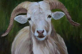 Thần Tài ban lộc, 3 con giáp vận khí hanh thông trong 45 ngày tới