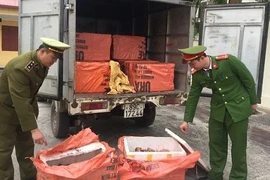 Thịt lợn bẩn tuồn về Hà Nội nhân cơn “sốt giá“