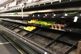 Người dân Canada vội vã tích trữ thực phẩm