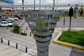 Cây nhân tạo sản sinh không khí trong lành ngang 1 ha rừng