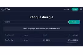 Đại gia chi gần 3 tỷ đồng đấu giá biển sảnh rồng 19A-567.89 