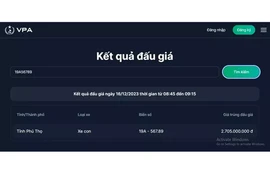 Đại gia chi gần 3 tỷ đồng đấu giá biển sảnh rồng 19A-567.89 