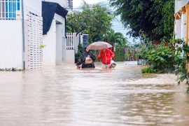 Video: "Nước lũ về quá nhanh, chúng tôi trở tay không kịp"