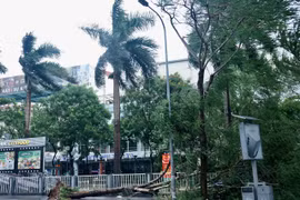 Người dân sống ở chung cư cần lưu ý gì khi bão đổ bộ?