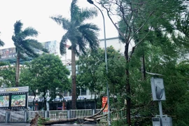 Người dân sống ở chung cư cần lưu ý gì khi bão đổ bộ?