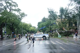 Nhiều tỉnh, thành cho học sinh nghỉ học sau bão số 3 Yagi