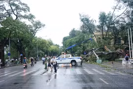 Nhiều tỉnh, thành cho học sinh nghỉ học sau bão số 3 Yagi
