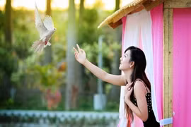 Gương mặt giành ngôi vị cao nhất Nữ sinh Việt Nam