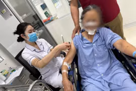 Quét ngõ bị chó nhà hàng xóm tấn công, cụ bà khâu gần 70 mũi