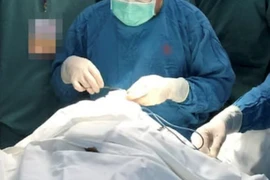 TP Hồ Chí Minh: Nhiều hộ kinh doanh thực hiện phẫu thuật thẩm mỹ không phép