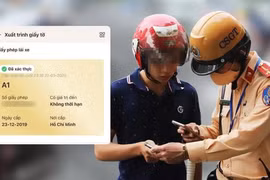 Các hạng giấy phép lái xe mới từ ngày 01/01/2025