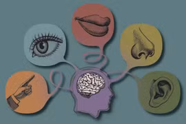 Bác sĩ mách cách thải độc toàn thân để cơ thể khỏe mạnh