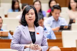 BỘ Trưởng Bộ Y tế Đào Hồng Lan trả lời tại Quốc hội