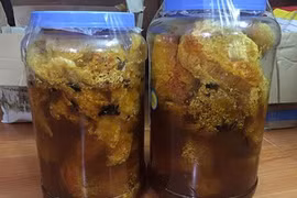 Người đàn ông bị sốc phản vệ độ 2 do uống rượu ngâm sáp ong