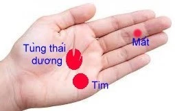 Bấm huyệt tuần hoàn trị bệnh tim, cứu đột quỵ