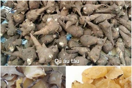 Tê bì tứ chi sau khi dùng củ ấu tàu chữa xương khớp