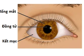 Dùng mống mắt để xác định nhân thân thay thế dấu vân tay