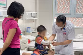 Bé 3 tuổi vỡ thận do bị chó lớn tấn công