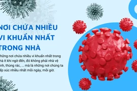 Dọn nhà đón Tết: lưu ý những ổ vi khuẩn đáng sợ nhất ít ngờ tới