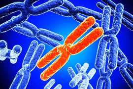 Đối tượng có nguy cơ mắc hội chứng siêu nữ