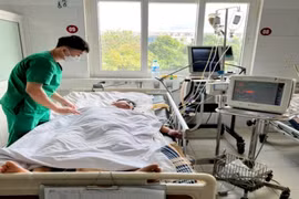 Ăn ốc bùn bóng, bệnh nhân 37 tuổi hôn mê: Cách phát hiện độc tố Tetrodotoxin