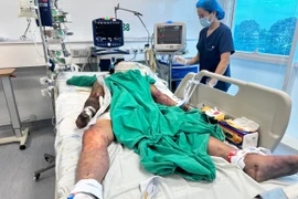 Sốt cao, nghe kém cụ ông ở Hà Nội bất ngờ mắc liên cầu khuển lợn