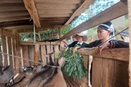 Bước qua định kiến giới, phụ nữ dân tộc khởi nghiệp nâng cao quyền làm chủ