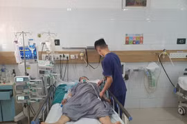 Liệt hô hấp, ngừng tim do uống rễ cây sắc để chữa đau đầu, mất ngủ