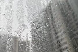 Bác sĩ mách cách tránh nhiều bệnh trong thời tiết nồm ẩm