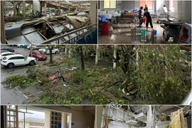 Bão số 3 gây ra thiệt hại về tài sản khoảng 40.000 tỷ đồng
