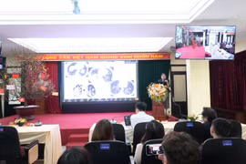 90% người nhiễm nấm phổi còn sót ngoài cộng đồng: Nguy cơ tử vong rất cao