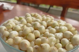 Hành tăm chữa nhiều bệnh rất độc đáo nhiều người chưa biết