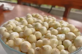 Hành tăm chữa nhiều bệnh rất độc đáo nhiều người chưa biết