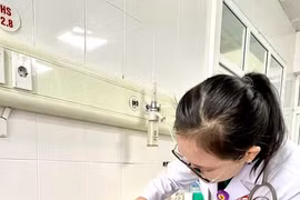 Dọn vườn người đàn ông bị ong vàng đốt khắp người: Cách gì phòng tránh