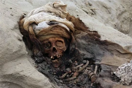 Khủng khiếp mộ tập thể của 227 đứa trẻ bị hiến tế