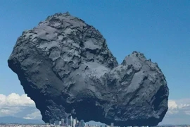 13 bức ảnh về người và vật khổng lồ, không ai nghĩ lại lớn đến thế