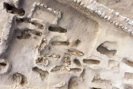 Khủng khiếp mộ tập thể của 227 đứa trẻ bị hiến tế