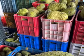 Mãng cầu xiêm đang có giá cao kỷ lục