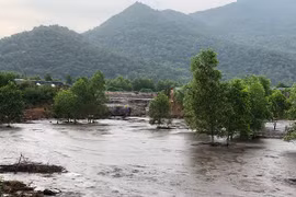 Bà Rịa - Vũng Tàu xử phạt hàng loạt doanh nghiệp vi phạm lĩnh vực môi trường