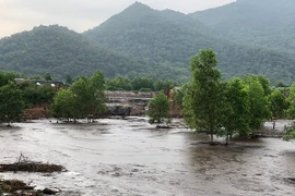 Bà Rịa - Vũng Tàu xử phạt hàng loạt doanh nghiệp vi phạm lĩnh vực môi trường