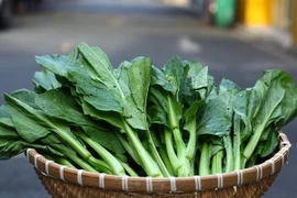 Rau hữu cơ khác rau sạch thế nào?