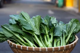 Rau hữu cơ khác rau sạch thế nào?