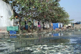 Bà Rịa – Vũng Tàu có 135,95 ha đất bị ô nhiễm