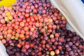 Nho kẹo đỏ Trung Quốc giá rẻ hơn rau