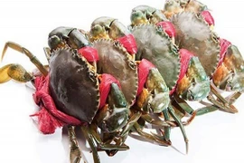 Cua biển thương phẩm giảm giá mạnh