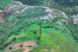 Nguy cơ sạt lở khi quả đồi xuất hiện vết nứt lớn tại Lâm Đồng