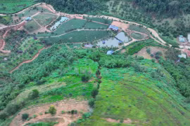 Nguy cơ sạt lở khi quả đồi xuất hiện vết nứt lớn tại Lâm Đồng